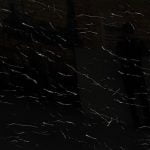 دیوارپوش تاپکو کد 1450