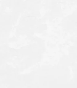 ورق MDF پاک چوب طرح WHITE کد 1014 | بتنی ۱۶ میل