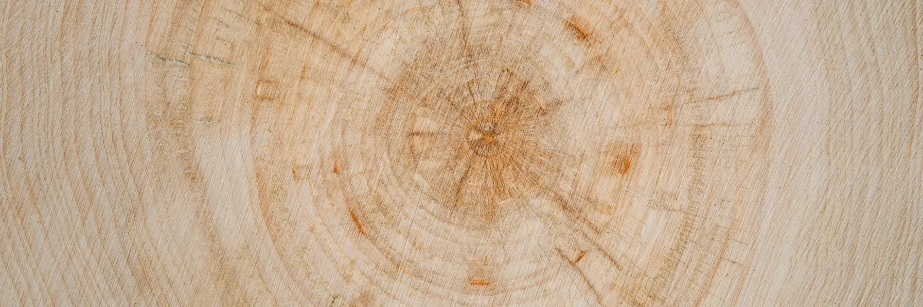 Untitled design - 2025-12-21T133318.396